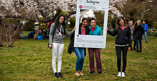 Instagram Advertising